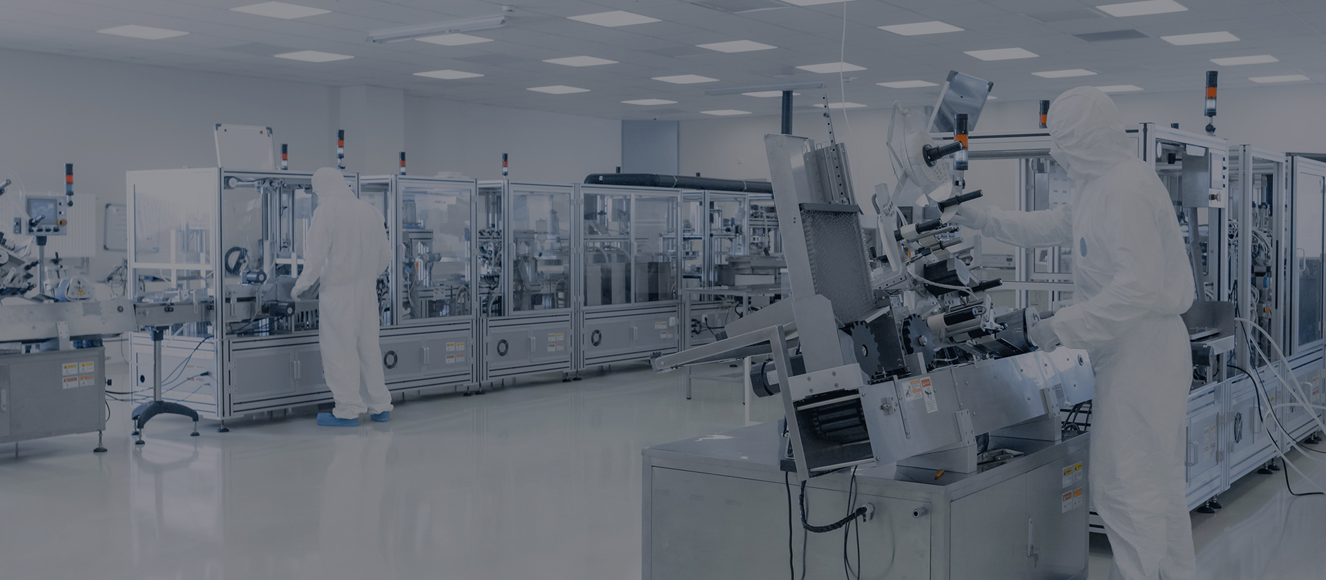 ������ѧ�������